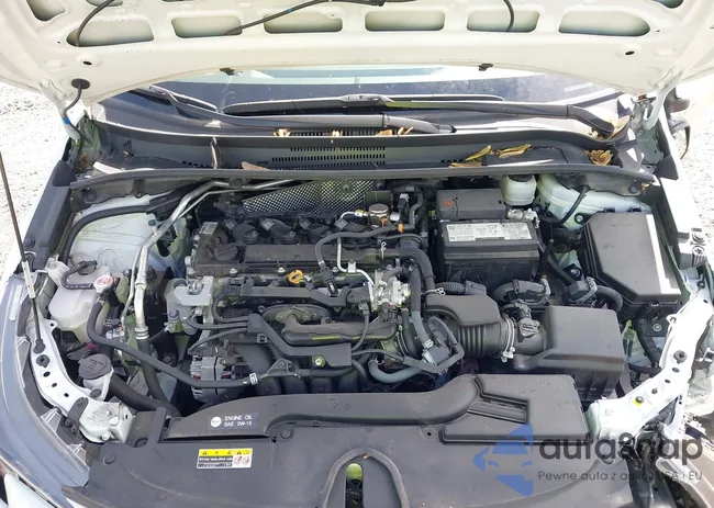 5YFB4MDE9PP015316: 42165863