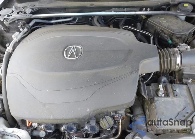 19UUB2F55GA005341: 42166089