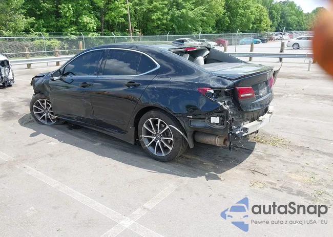 19UUB2F55GA005341: 42166089