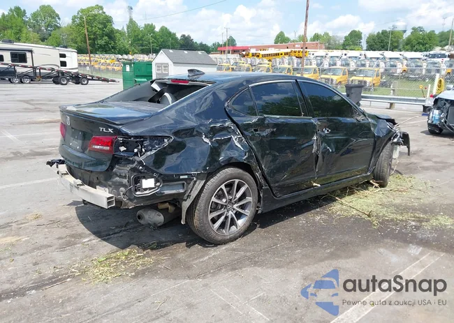 19UUB2F55GA005341: 42166089