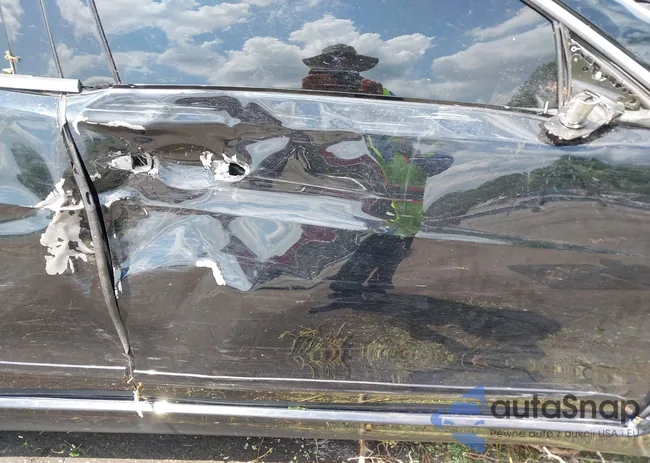 19UUB2F55GA005341: 42166089