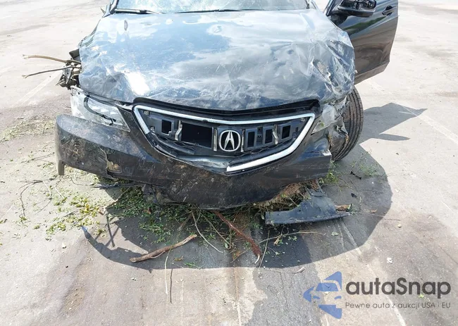 19UUB2F55GA005341: 42166089