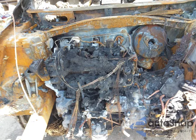 5NPE24AF2HH594003: 42166440