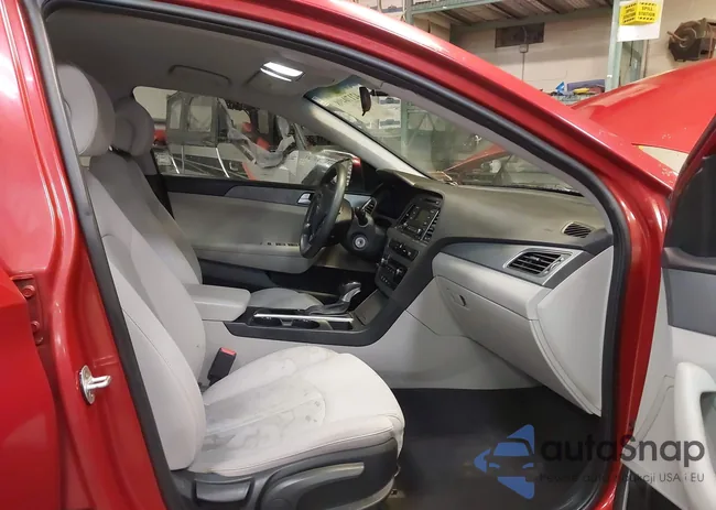 5NPE24AF9HH517838: 42170498