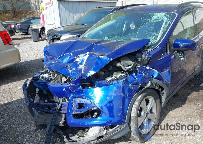 1FMCU0G90GUB57287: 42170920