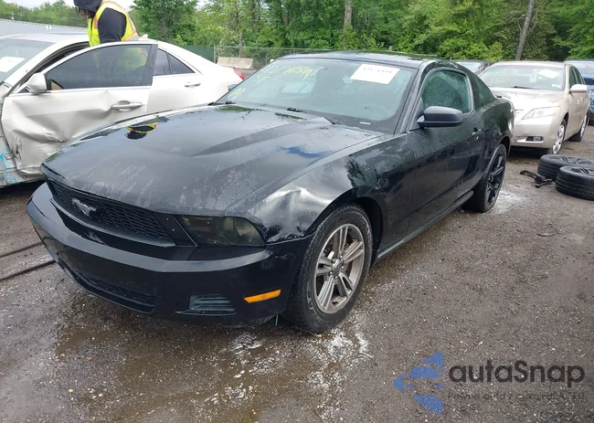 1ZVBP8AM6C5220946: 42171599