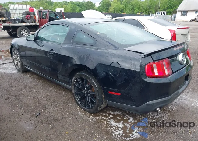 1ZVBP8AM6C5220946: 42171599