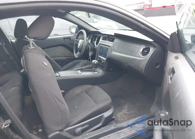 1ZVBP8AM6C5220946: 42171599