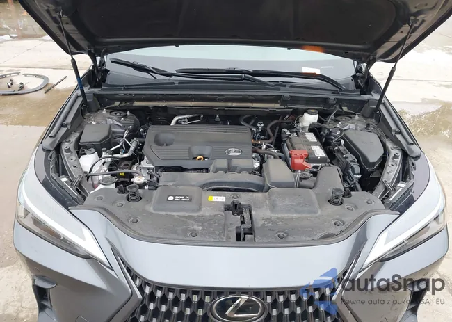 2T2GDCAZ7RC015465: 42171196