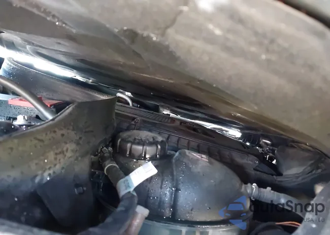 WDDGF8ABXDR281372: 42171257