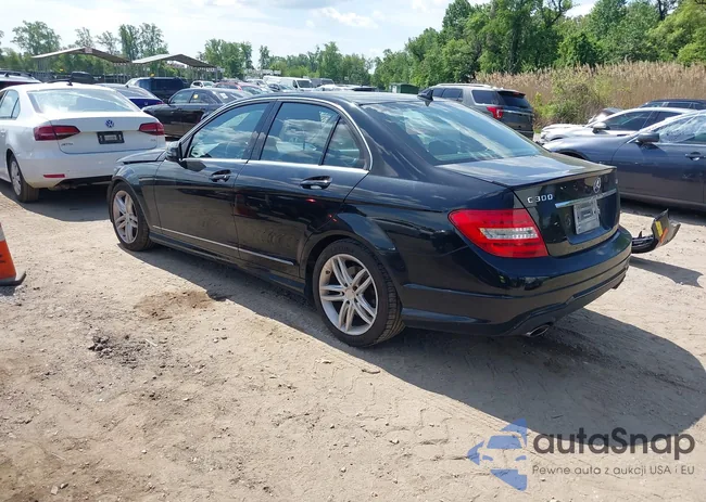 WDDGF8AB7DR278316: 42173056