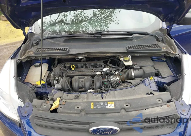 1FMCU0F73DUA99879: 42172276