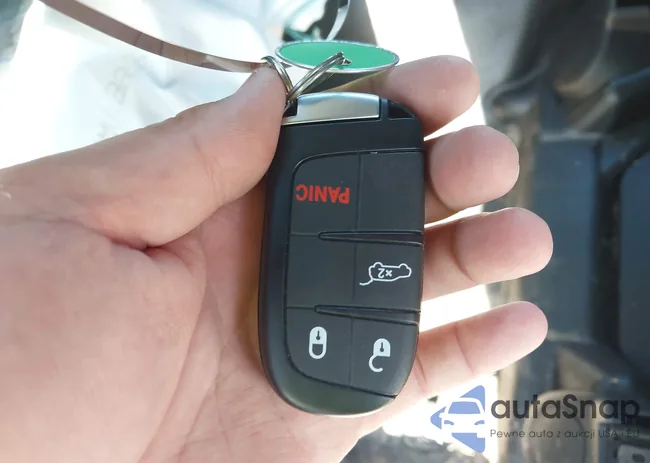 1C4SDJFT2RC228291: 42173916