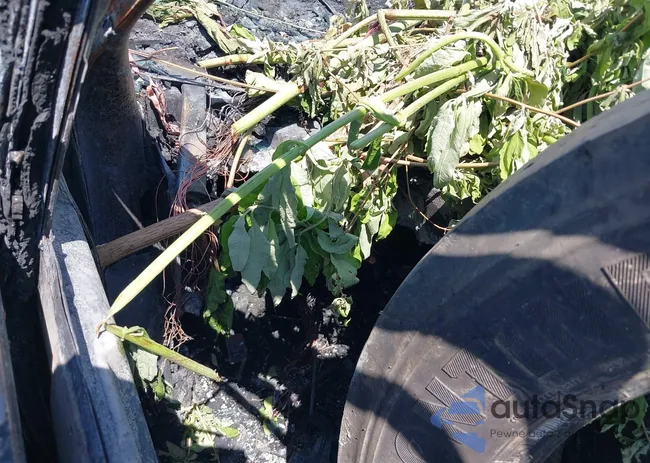 1G4HP54K0YU108870: 42174701