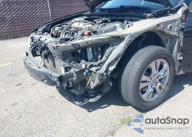 1HGCP2F61BA141576: 42174297