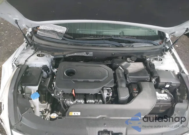 5NPE24AF6FH239882: 42176026