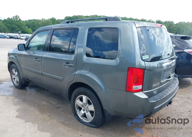 5FNYF48489B008698: 42175230