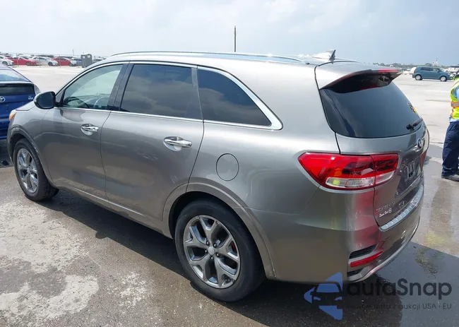 5XYPK4A5XHG253262: 42176510