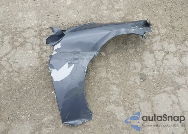 19UUB5F53MA001253: 42176656