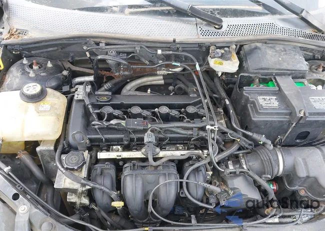 1FAFP34N87W204748: 42176743