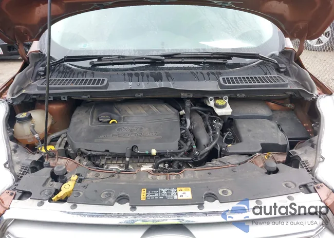 1FMCU0GD2HUD65578: 42176825