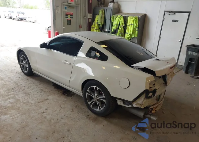 1ZVBP8AMXE5310670: 42176865