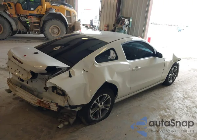 1ZVBP8AMXE5310670: 42176865