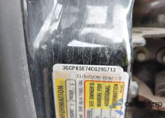 3GCPKSE74CG295713: 42176873