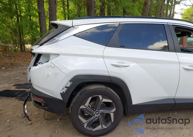 KM8JCCD17RU159017: 42176899