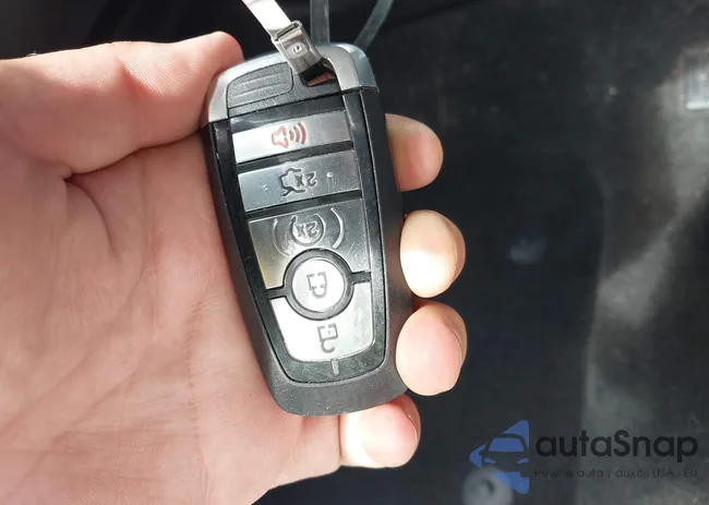 3FA6P0RU7KR194482: 42176110