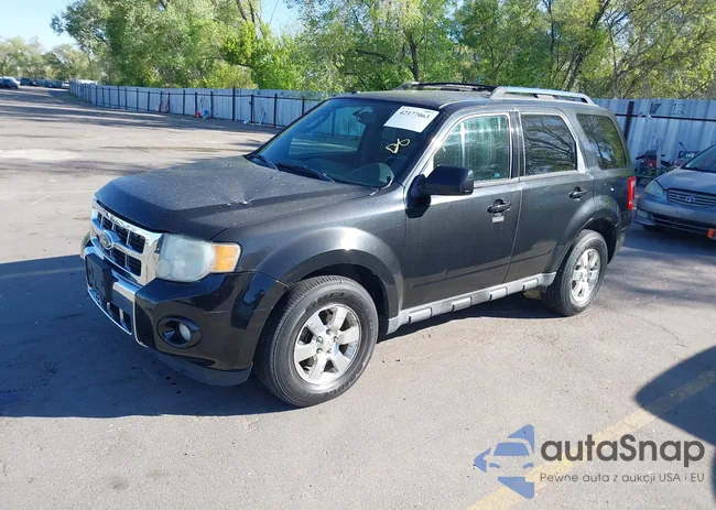 1FMCU9EGXBKB66282: 42177063