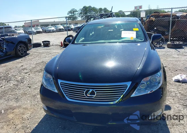 JTHBL46F085076558: 42178120