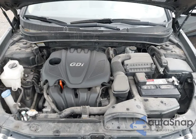 5NPEC4AC8DH798365: 42178196