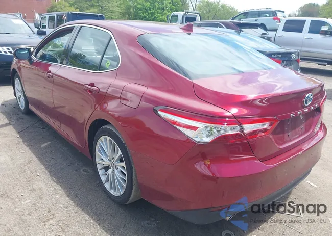 4T1F31AK4LU536417: 42180254