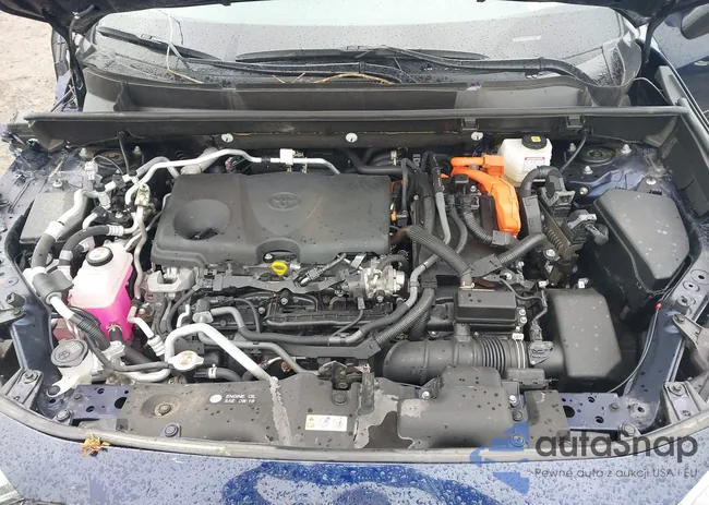 JTMFB3FV7PD155995: 42181941