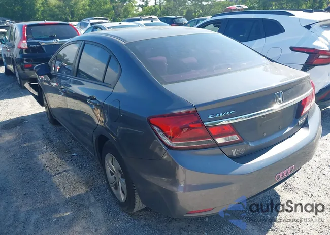 19XFB2F50FE293207: 42182463