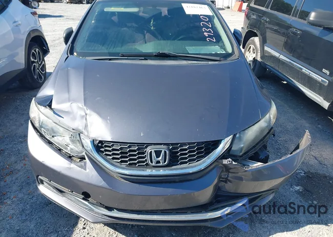 19XFB2F50FE293207: 42182463