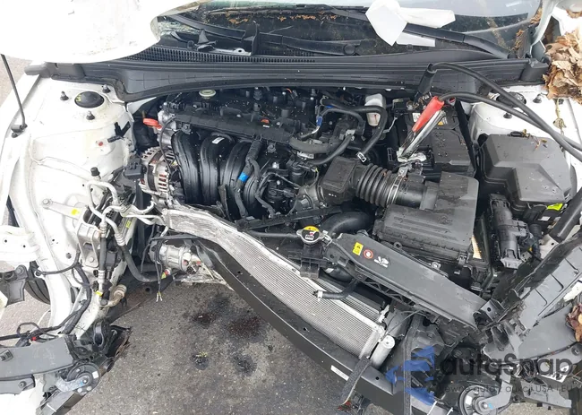 KMHLL4DG7RU841785: 42182989