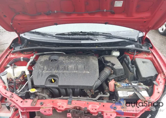 2T1BU4EE2BC697253: 42182353