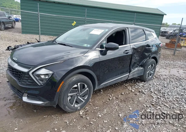 KNDPUCAG5P7114691: 42183572