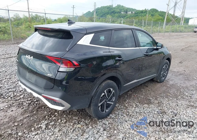 KNDPUCAG5P7114691: 42183572