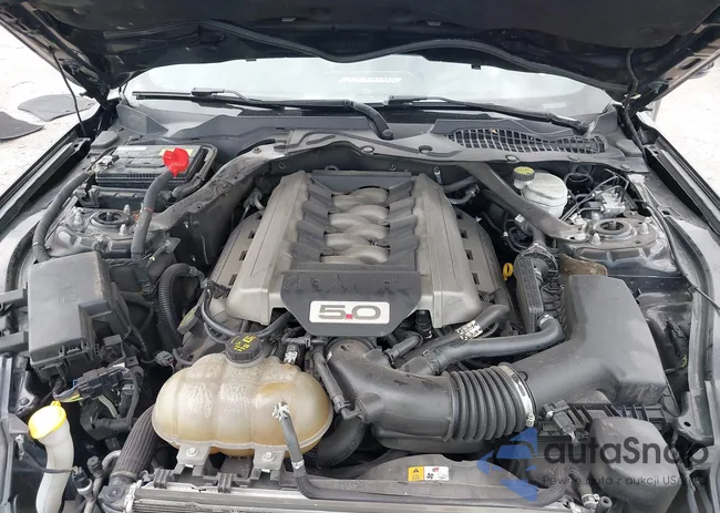 1FA6P8CF3G5259637: 42183280