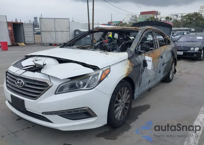 5NPE34AF1FH037710: 42184802