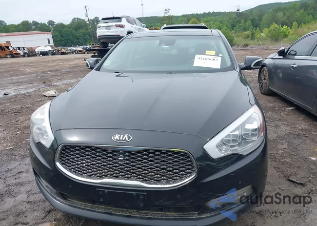 KNALW4D44G6028663: 42185607