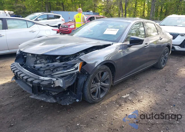 19UUB6F55PA002303: 42186019