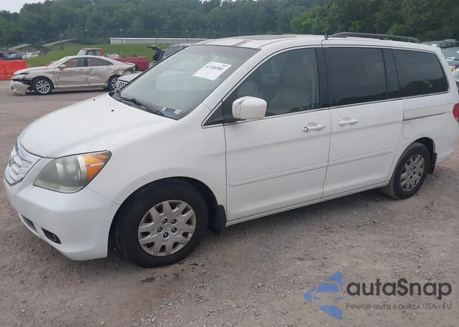 5FNRL38718B405282: 42186981