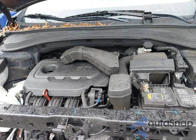 5NMS2CAD4LH245958: 42187708