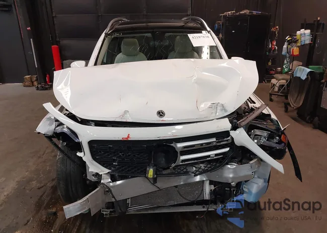 W1N4M4HBXNW242813: 42187838