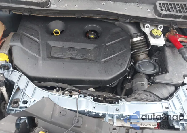 1FMCU9J92JUC75426: 42189535