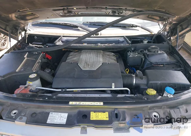 SALMF13417A260263: 42189860